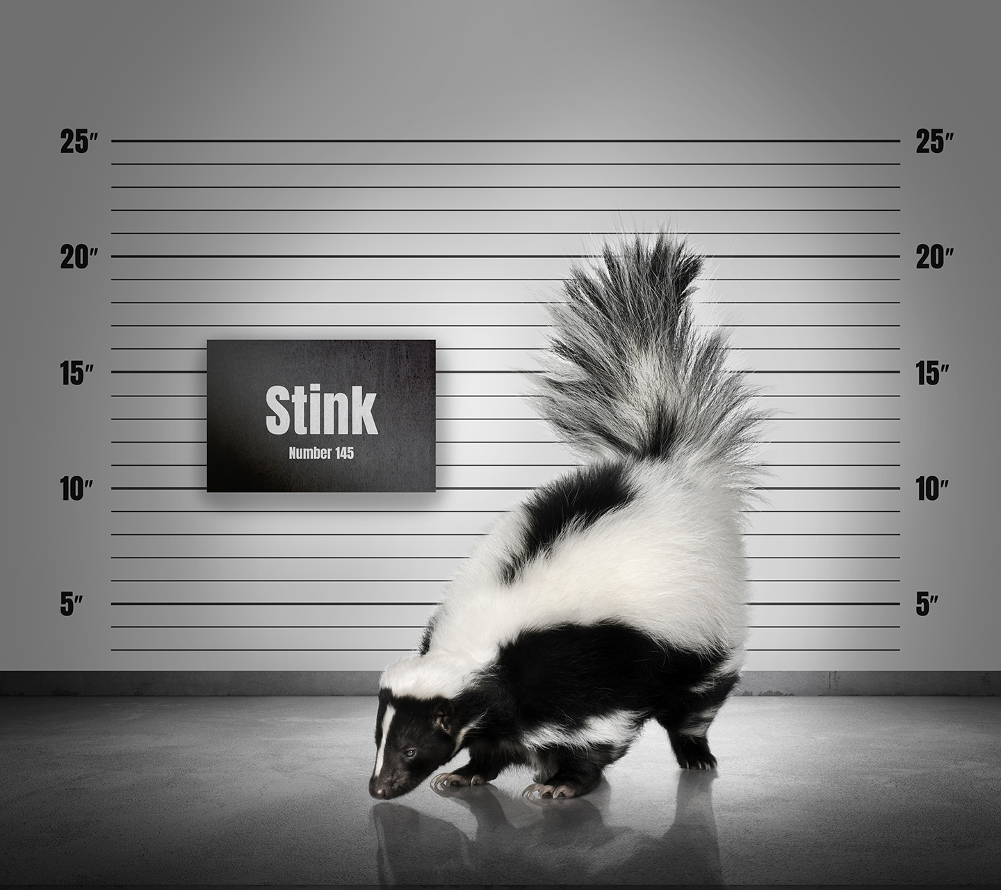 Das Keyvisual „Stinky“ für den Geruchsabsorber TEGO Sorb® von Evonik